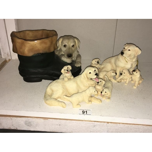 91 - 2 labradors with puppies & labrador planter