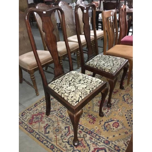 206 - A pair of Edwardian high back dining chairs on Queen Anne legs