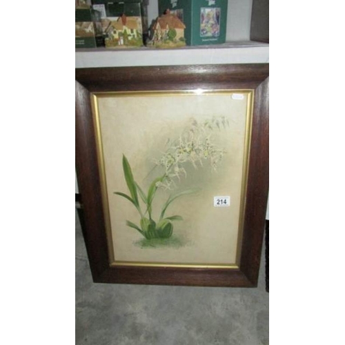 214 - A framed and glazed botanical print