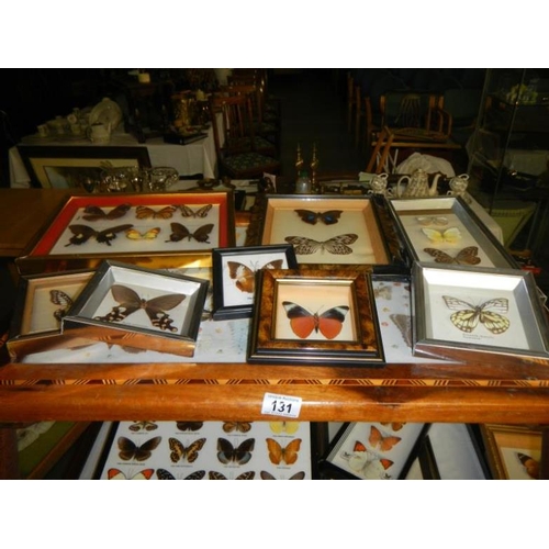 131 - A large quantity of framed butterflies & table with butterflies