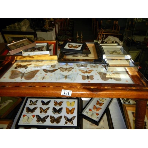 131 - A large quantity of framed butterflies & table with butterflies