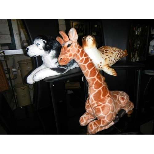 20 - 3 soft toys, giraffe, seal & dog