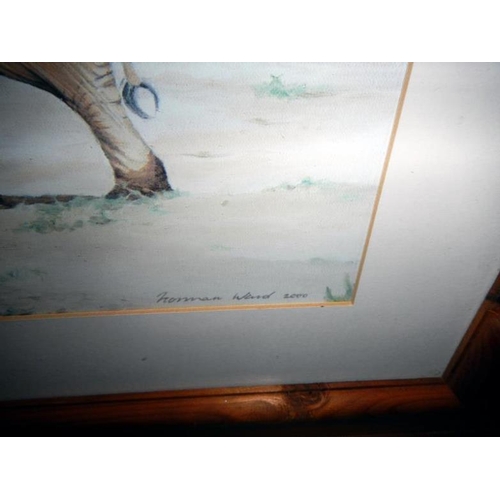 67 - A print of Norman Ward, a picture of a family of elephants in a pine frame (95cm x 55cm)