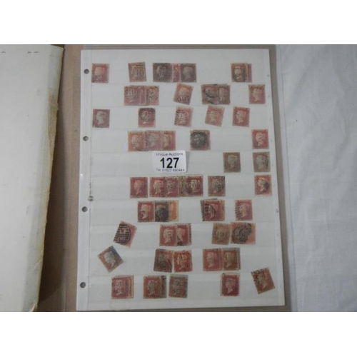 127 - Stamps - Over 500 Victorian British Penny Red stamps