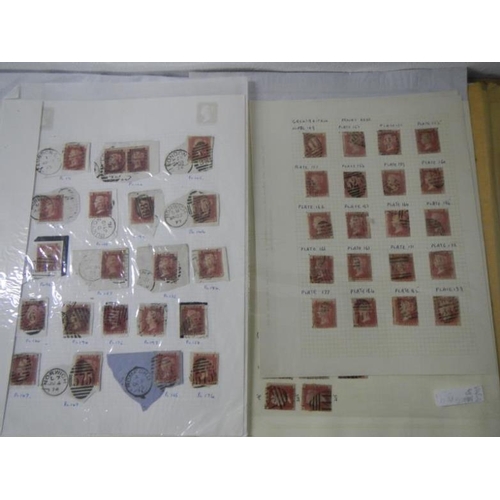 127 - Stamps - Over 500 Victorian British Penny Red stamps