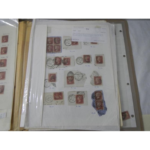 127 - Stamps - Over 500 Victorian British Penny Red stamps