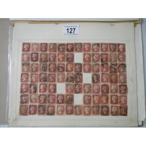 127 - Stamps - Over 500 Victorian British Penny Red stamps