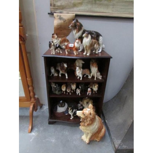 204 - A large collection of collie dog figures