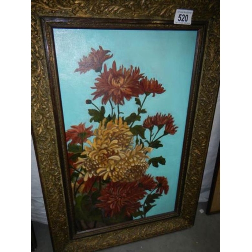 520 - An oil on board study of chrysanthemums, image 29 x 49