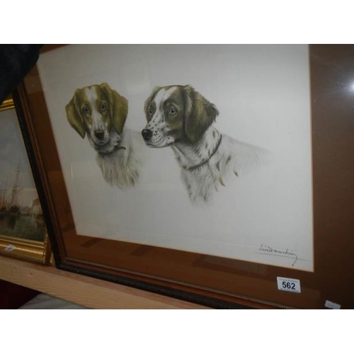 562 - A framed and glazed coloured drawing of gun dogs signed Leon Danching, 1887-1938, image 57 x 45cm