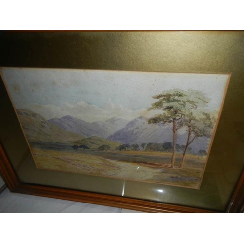 594 - A pair of framed and glazed 19th century watercolours purported to have been painted by Lady Palmer ... 