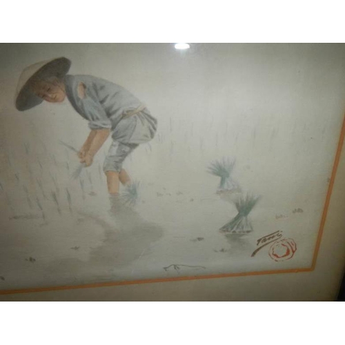 639 - An Asian watercolour of a girl planting rice, signed and in original frame, image 49 x 31 cm