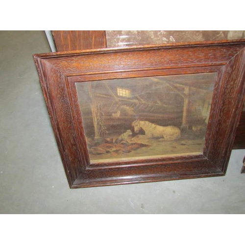 658 - 5 19th century framed and glazed engravings