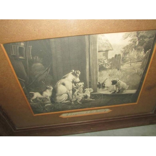 658 - 5 19th century framed and glazed engravings