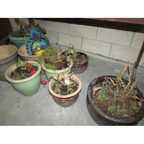 3 - 7 pottery planters and 2 plastic pots