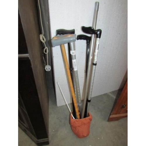 55 - A quantity of walking sticks