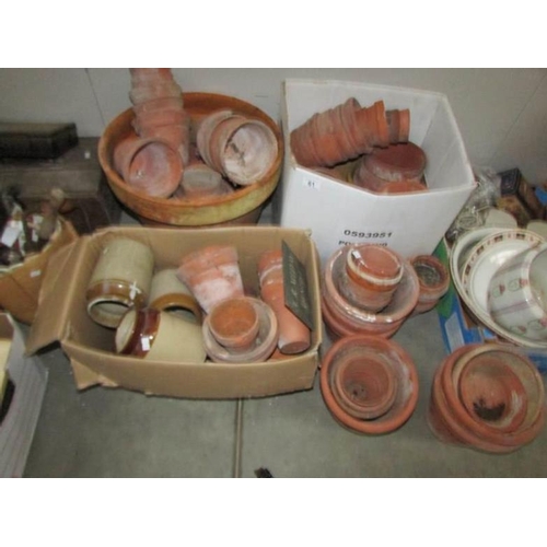 61 - A large quantity of terracotta plant pots