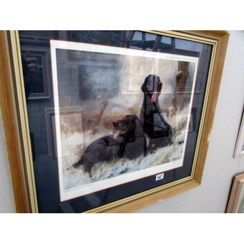 647 - A framed and glazed limited edition print of black labradors, signed John Tricket, image 48 x 38 cm