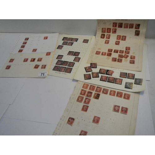 71 - A collection of penny red stamps together with 2 penny blue stamps.