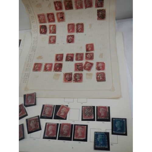 71 - A collection of penny red stamps together with 2 penny blue stamps.