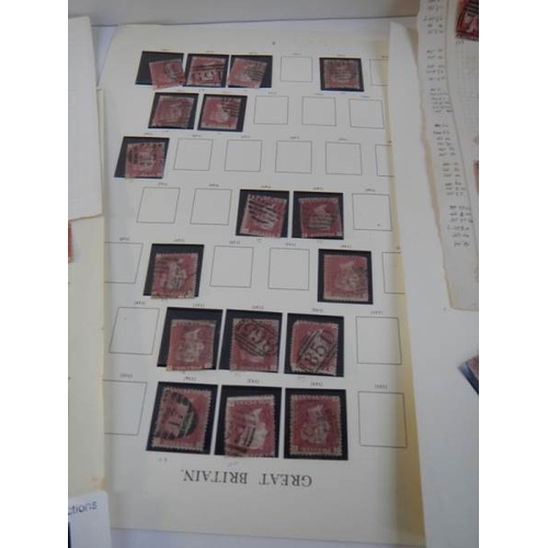 71 - A collection of penny red stamps together with 2 penny blue stamps.