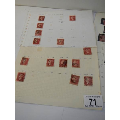 71 - A collection of penny red stamps together with 2 penny blue stamps.