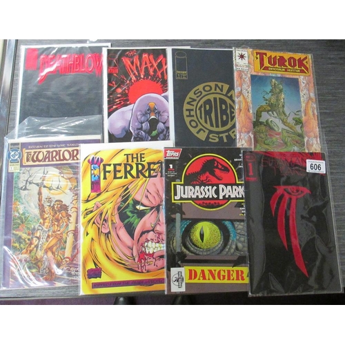 606 - 8 first issue nmber 1 comics including Turok, Jurassic Park, Warlord, Tribe, Maxx, Deathblow etc