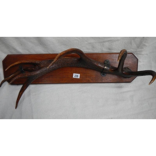 229 - Taxidermy = a set of deer antlers mounted on wooden plaque.