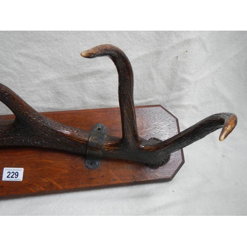 229 - Taxidermy = a set of deer antlers mounted on wooden plaque.