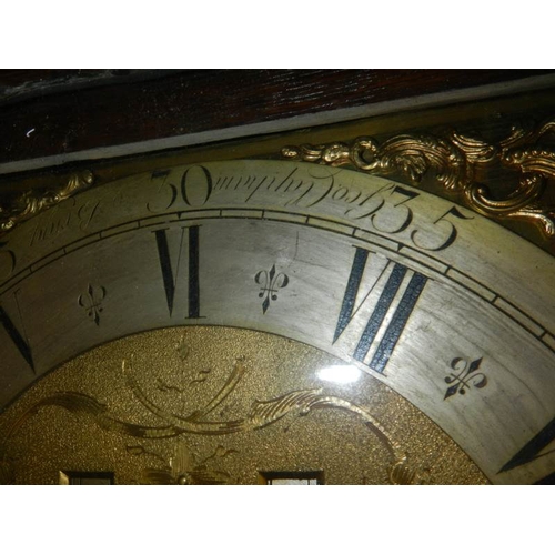 294 - A heavily carved 8 day brass faced Grandfather clock by Geo. Raphams, Brigg.