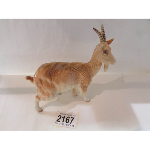 Lot 2167      