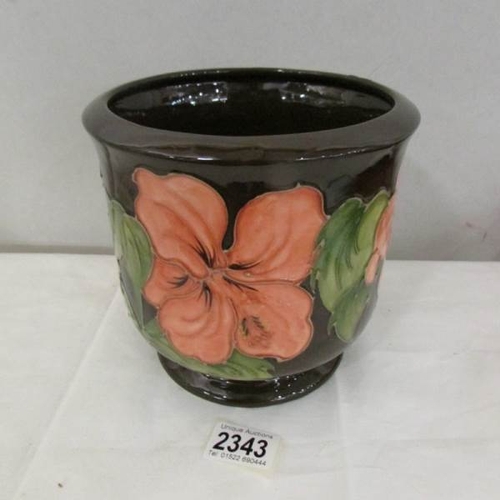 2343 - A Moorcroft Hibiscus planter, approximately 6.75'' high and 7'' diameter.