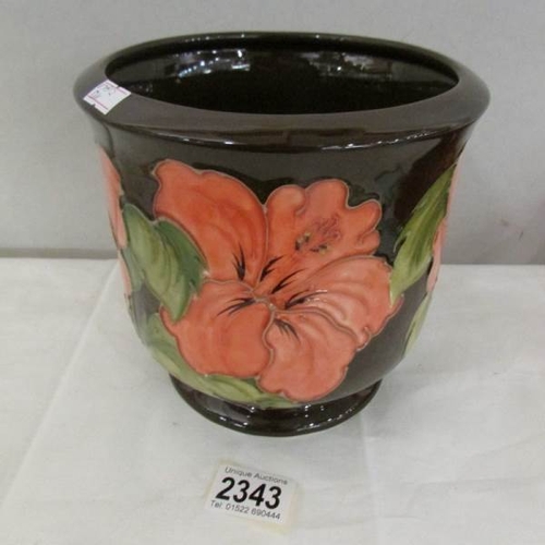 2343 - A Moorcroft Hibiscus planter, approximately 6.75'' high and 7'' diameter.