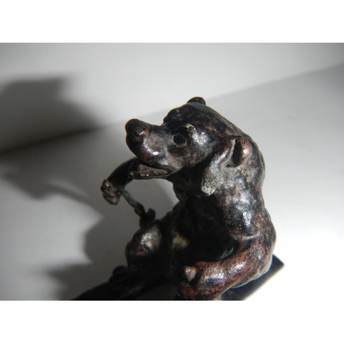 2029 - An early painted bronze of a dog on skis 2 inches high