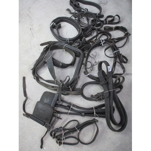 1490 - A large lot of good old horse tack.