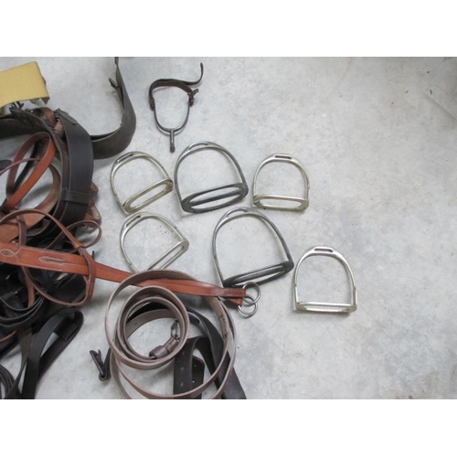 1493 - A big lot of vintage stirrups and horse tack.