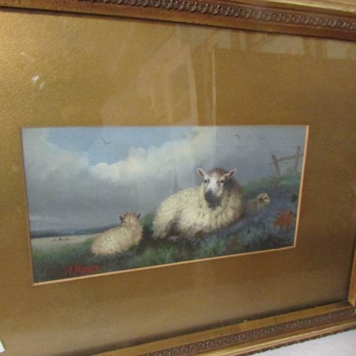 2370 - A pair of framed and glazed watercolours of sheep signed A Bert (1 glass a/f).