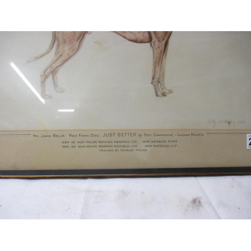 2453 - A framed and glazed study of a greyhound entitled 'Mr John Bells Red Fawn Dog Just Better' signed Be... 