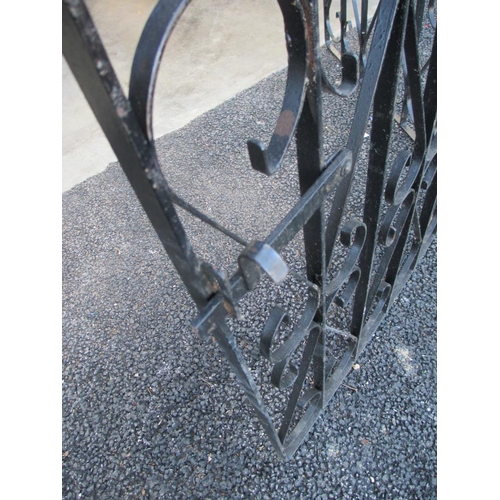 1524 - A pair of ornamental metal gates