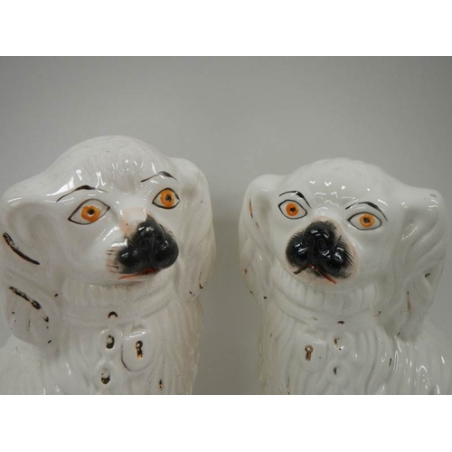 563 - A pair of early 20th century Staffordshire dogs, 14'' tall (one has crack as shown in image, other i... 