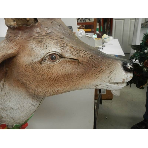 727 - A full size model of a reindeer, 36'' tall x 60'' long (crack to back leg).