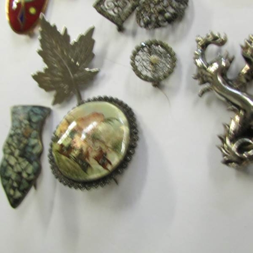 530X - 12 assorted brooches.