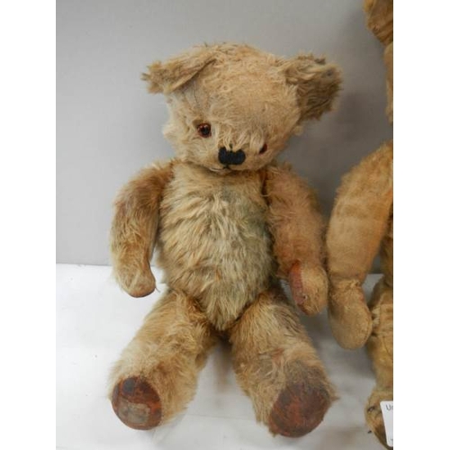 782 - 2 old Teddy bears, both with button eyes, need tidying.