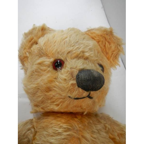 783 - An old Chad Valley Teddy bear, in fair condition apart from pads.