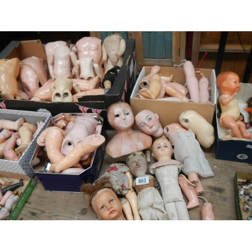 803 - A large mixed lot of doll parts including arms, legs. torsos etc.,