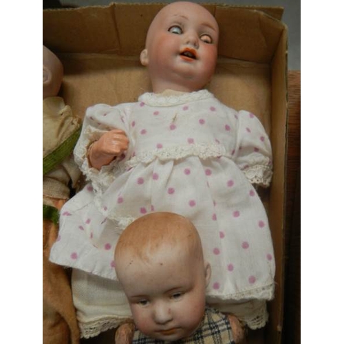 807 - 3 Victorian porcelain headed dolls (all need wigs).