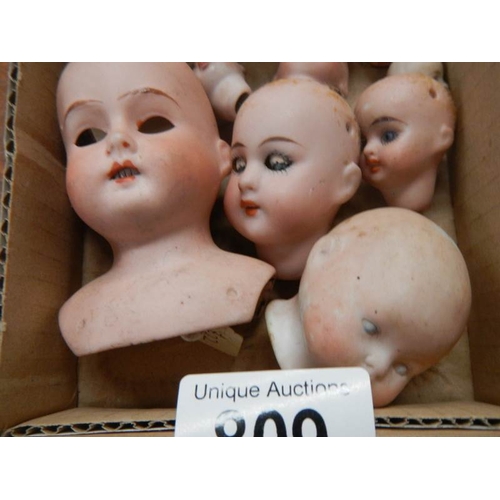 809 - 10 Victorian porcelain dolls heads including French and German (see images).