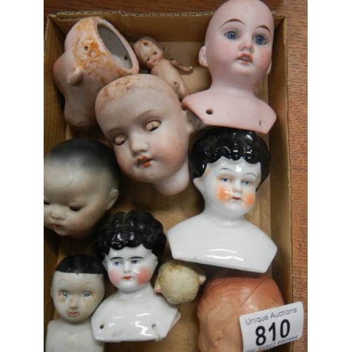 810 - 9 Victorian porcelain dolls heads including French and German (see images).