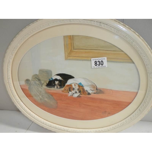 830 - An original watercolour of a Cavalier King Charles spaniel in an oval frame.