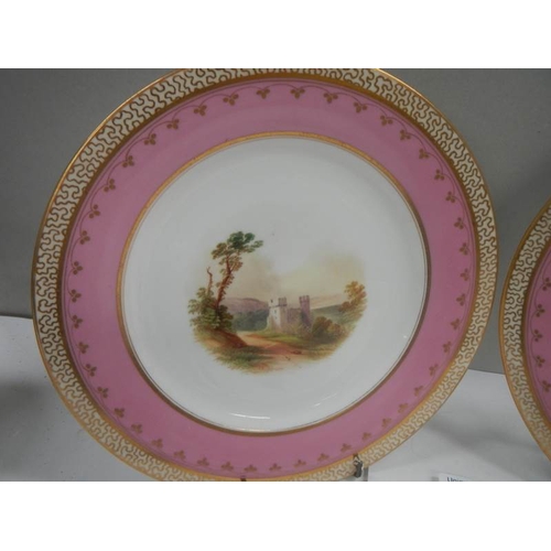 2101 - A pair of hand painted plates with gilded rims.